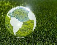 La bioeconomía puede, de forma progresiva, guiar la transición hacia un modelo económico sostenible y resiliente.