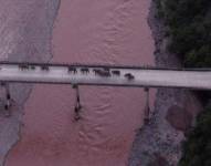 El domingo se vio a los elefantes cruzando el río Yuanjiang en la provincia de Yunnan.