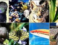 La biodiversidad divide al mundo