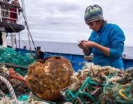 Los investigadores colaboraron con el Instituto Ocean Voyages para recolectar los residuos del océano.
