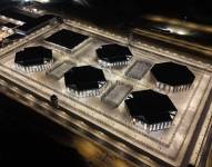 La cárcel, ubicada cerca de la comuna Juntas del Pacífico, es el proyecto emblemático del Gobierno de Daniel Noboa.