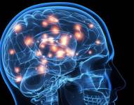 6 ejercicios que hace cada día la neurocientífica Wendy Suzuki para mejorar su fortaleza mental