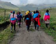 La muerte de cientos de ovejas en Cotopaxi ha dejado sin sustento económico a muchas familias. Foto: Captura de video