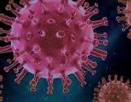 Desde que el SARS-CoV-2 comenzó a principios de 2020, el COVID-19 se ha cobrado seis millones de vidas.