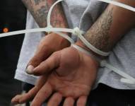 Las pandillas que venden en EE.UU. la droga producida en América Latina