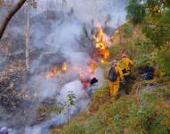 50 hectáreas fueron afectadas.