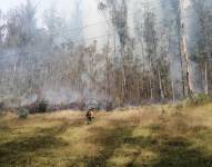 Un bosque se incendia en la Comuna de Miraflores.