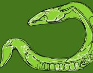 Desde el descubrimiento de la estructura del ADN, ha estado en el centro de todo tipo de descubrimientos extraordinarios sobre cómo funcionan y fallan nuestros cuerpos.