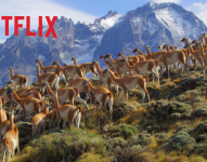 La Patagonia Chilena, uno de los capítulos de Nuestros Grandes Parques Naturales.