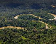 Los fondos serán canalizados mediante el proyecto Acciones por la Amazonía, una iniciativa liderada a través de un consorcio colectivo.