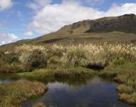 Imagen referencial del Parque Nacional Llanganates.