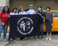 Unos activistas consiguieron habeas corpus para animales en Guayaquil.
