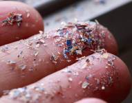 De los microplásticos detectados, había 12 tipos, que tienen muchos usos y se encuentran habitualmente en los envases, botellas, ropa, cuerdas/telas y muchos procesos de fabricación. Pixabay/Referencial