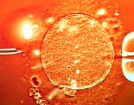El esperma del donante se utilizó en clínicas de toda Europa (imagen de archivo).