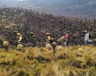 Bomberos de diferentes zonas del país acudieron a la reserva para apoya apagando el fuego.