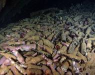 BRANDI MUELLER/GETTY IMAGES