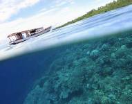 Le hemos dado la espalda al océano.