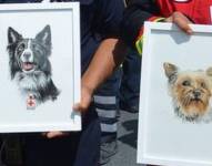 La histórica condena de 10 años de prisión para un hombre que mató a dos perros rescatistas en México