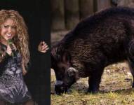 La cantante y su familia viven en la zona alta de Barcelona.