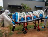 La situación en Europa es diferente a la de Sudáfrica porque la cobertura europea de vacunación está más avanzada.