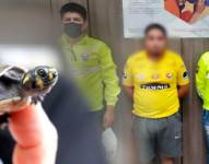 Detienen a hombre en Quito por presunta tenencia ilegal de 16 tortugas