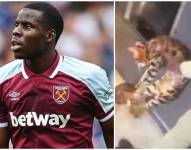 Kurt Zouma, aparece en un video pateando a su gato dentro de su hogar, el club inglés adelanta que tomará medidas.