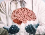 A pesar de los increíbles avances de la ciencia, todavía no hemos podido trasplantar el cerebro.