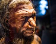 La investigación llevada a cabo en España comprobaría una especial habilidad de los neandertales.