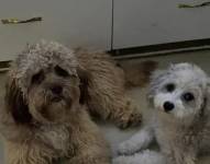 Televistazo en la Comunidad Guayaquil | 18-12-2025