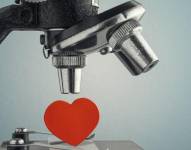 Dos desconocidos escupiendo en un tubo de ensayo no es el comienzo más tradicional para una historia de amor.