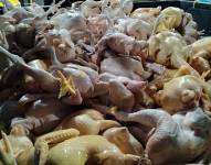 Los pollos que se encontraban al interior del establecimiento, en Calderón, norte de Quito.