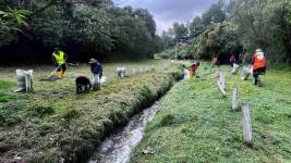 En puntos críticos se instalan cercas de protección para evitar que la basura llegue al cauce.