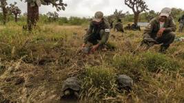 El Sistema Nacional de Áreas Protegidas sufre de falta de recursos, personal, equipamiento y condiciones de seguridad, entre otros, señaló la misma WWF Ecuador.
