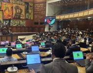 Los legisladores respaldaron una moción del asambleísta Esteban Torres.