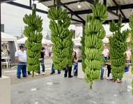 Comerciantes de mercados e