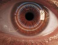 Foto referencial de un iris escaneado