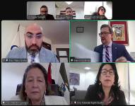 La sesión virtual del Pleno del Consejo de la Judicatura.