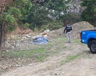 Imagen de cuerpos maniatados encontrados en la autopista Narcisa de Jesús, norte de Guayaquil.