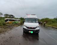 El bus quedó orillado entre la maleza.
