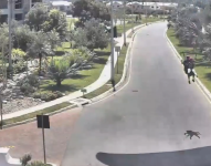 El alcalde de Guayaquil, Aquiles Álvarez, compartió en redes sociales un video del aterrizaje accidentado de la pareja.