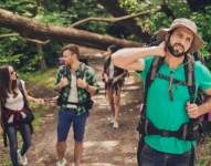 Si te ha picado un mosquito, seguro que fue una hembra. Los machos no pican.