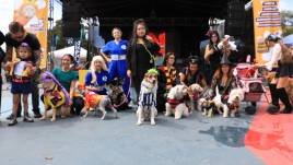 Perros y sus amos también participaron en un concurso de disfraces.