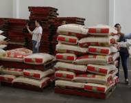 Fenómeno de El Niño: la cosecha de arroz no alcanzará para abastecer a todo el Ecuador