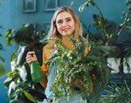 Las plantas también sirven para decorar un espacio interior.