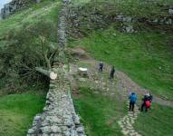 La policía de Northumbria dijo que un adolescente había sido arrestado como sospechoso de haber cometido el delito.