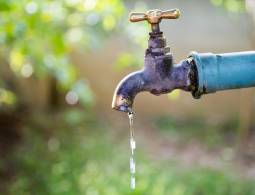 Televistazo en la Comunidad Quito | 18-11-2025