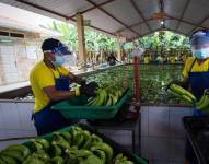 Foto: dialogochino.net