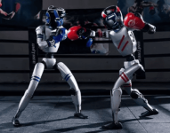 Pelea de robots en China