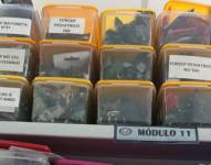 Dispositivos médicos irregulares incautados en Cuenca.