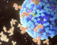 SCIENCE PHOTO LIBRARY